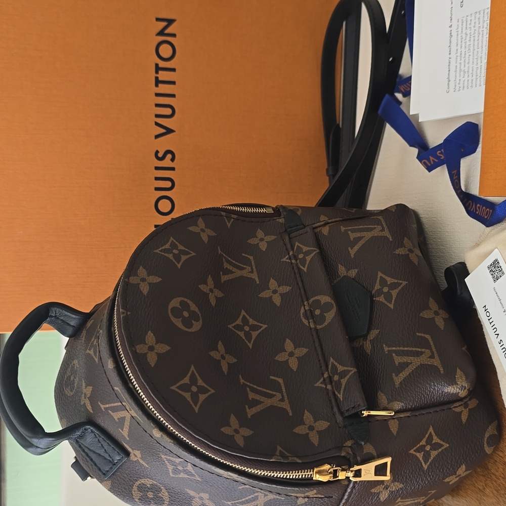 Louis Vuitton Palm Springs Mini